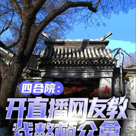 四合院:开直播网友教我整顿众禽