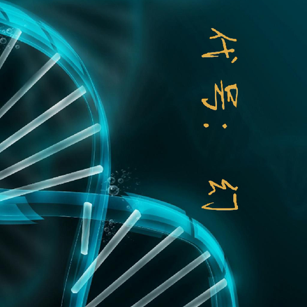 代号:幻