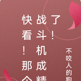 快看！那个战斗机成精了！