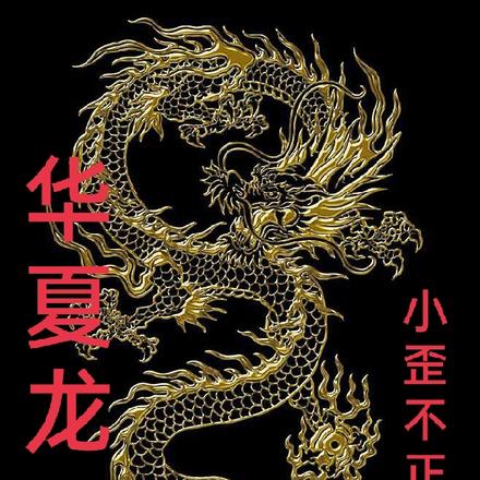 华夏龙