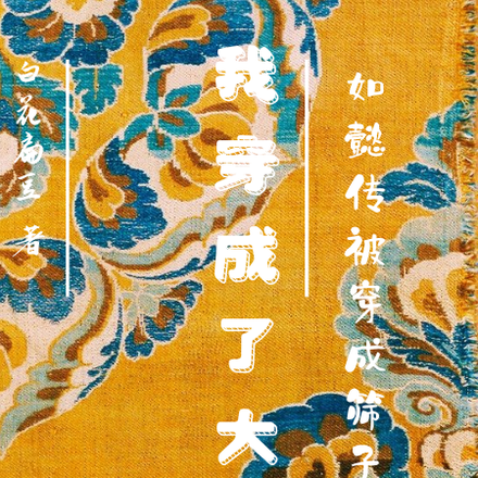 如懿传被穿成筛子后我穿成了大如