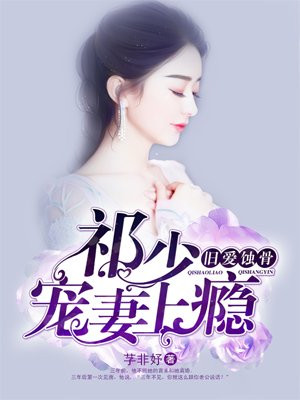 宠妻成瘾:狼性总裁太无良