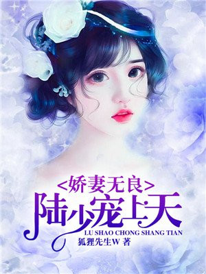 娇妻无良,陆少宠上天