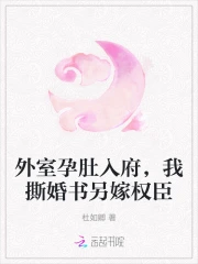 外室孕肚入府,我撕婚书另嫁权臣