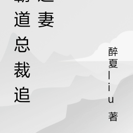 霸道总裁追逃妻