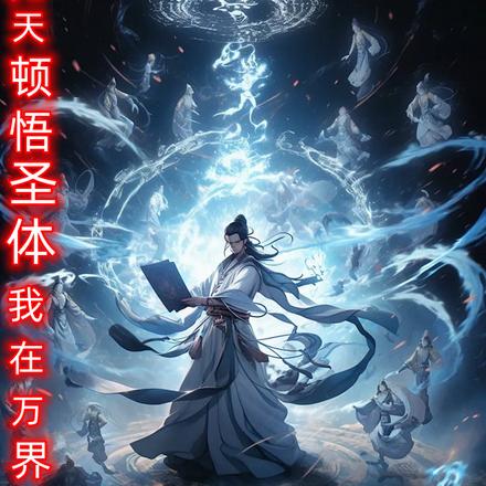 先天顿悟圣体：我在万界创无敌法