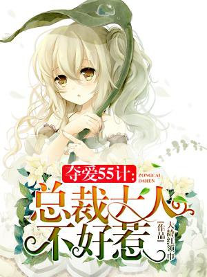 夺爱55计：总裁大人不好惹