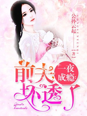 一夜成瘾:前夫,坏透了