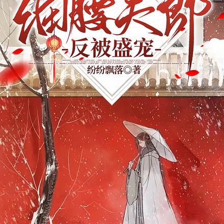 女尊:细腰夫郎反被盛宠