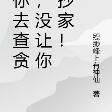 让你去查贪官，没让你去抄家！