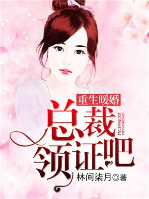 重生暖婚:总裁领证吧