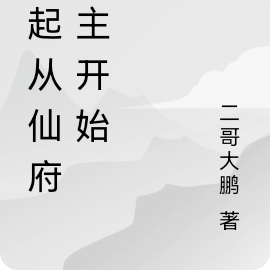 崛起从仙府认主开始
