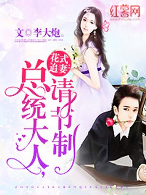 花式追妻:男神大人,限量宠