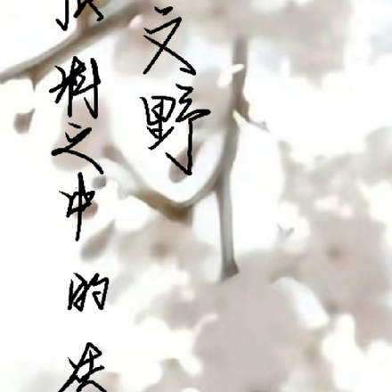 文野:预料之中的灰白