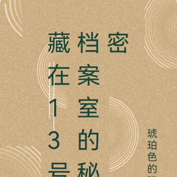 13号档案的秘密