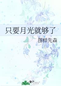 只要月光就够了