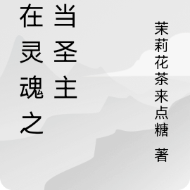我在灵魂之都当圣主