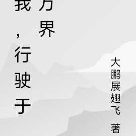 我，行驶于万界