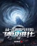 从一块铁片开始神级进化