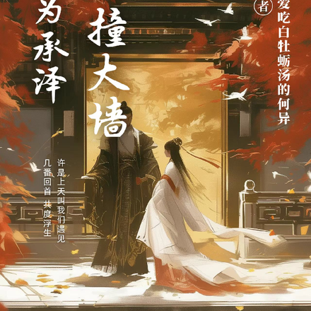 我为承泽框框撞大墙