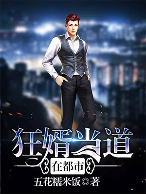 狂婿当道在都市
