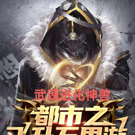 武魂进化神兽,都市之飞升万界游