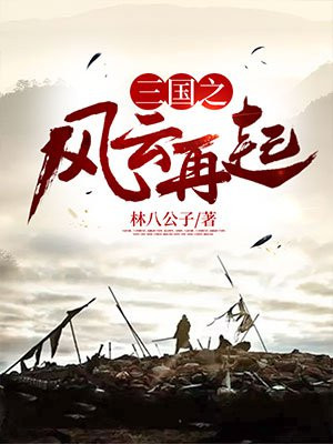 三国风云再起大招