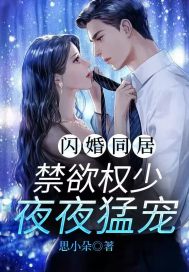 闪婚同居,禁欲权少夜夜猛宠
