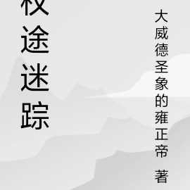 权途迷踪