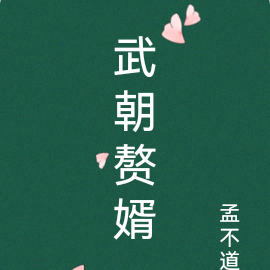 武朝赘婿