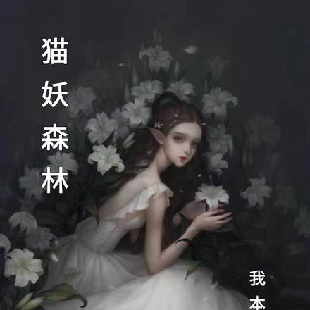 猫妖森林