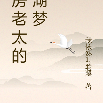 账房老太的江湖梦