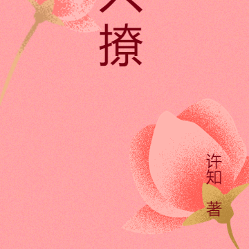 只撩