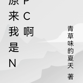 原来我是NPC啊
