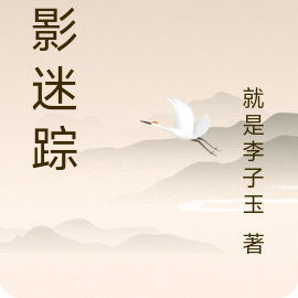 谍影迷踪