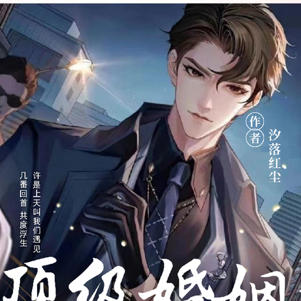 顶级婚姻之恶少他重生以后