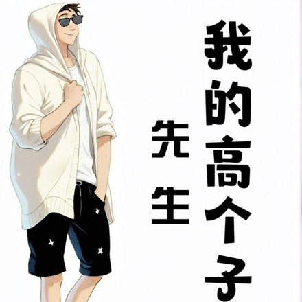 我的高个子先生