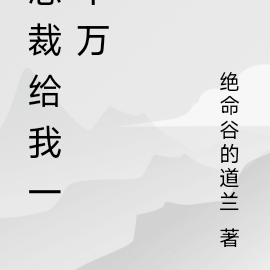 总裁给我一千万