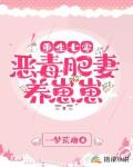 重生七零:恶毒肥妻养崽崽