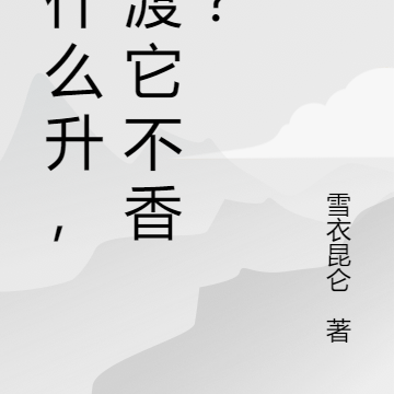 飞什么升,偷渡它不香吗?