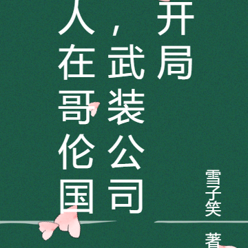 人在哥伦国，武装公司开局