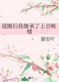 退圈后我继承了上百栋楼小说