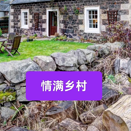 情满乡村