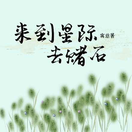 来到星际去赌石
