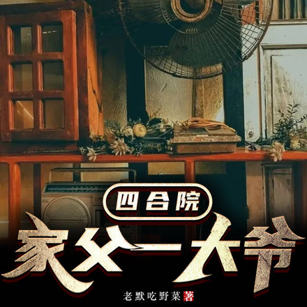 四合院一大爷老来子