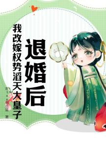 退婚后,我改嫁权势滔天大皇子