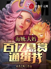 海贼:大妈百亿悬赏通缉我