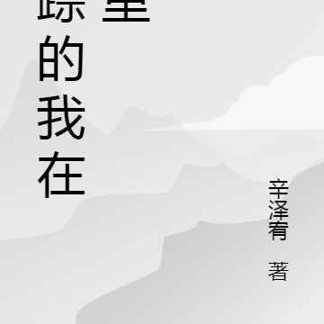失踪的我在哪里