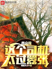 四合院:这个司机太过嚣张