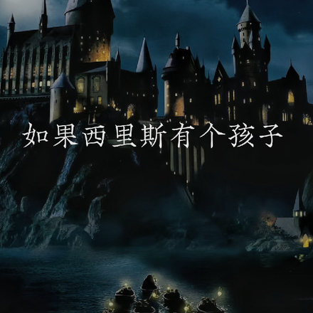 HP：如果西里斯有个孩子